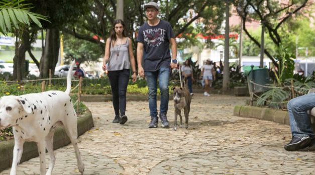 En el barrio El Dorado, de Envigado, se abrirá un parque canino