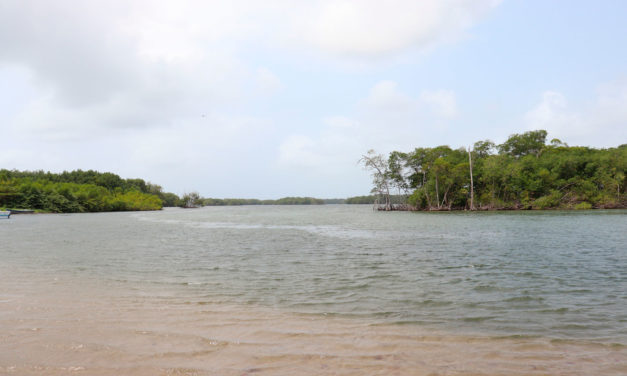 Voraz incendio en Necoclí