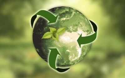 Amalfi celebra el día Mundial del Reciclaje