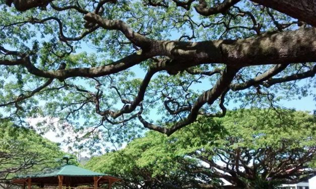 Hispania ya tiene Plan de Desarrollo