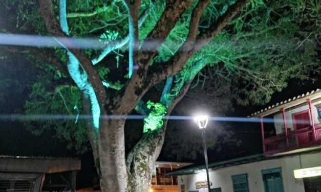 Carolina del Príncipe anuncia mejoras en infraestructura