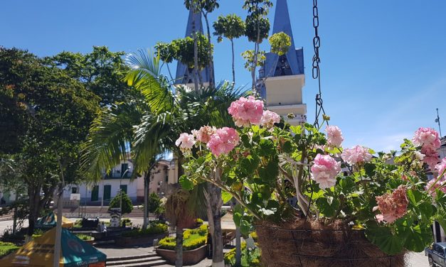 Santo Domingo celebra la semana ambiental y la biodiversidad