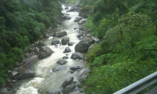 La alcaldía de Zaragoza se toma en serio el cuidado del medio ambiente