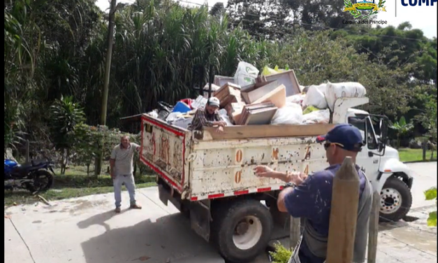 Empresarias de papel, la iniciativa en Carolina