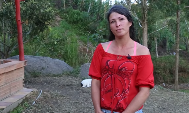 Salto Arriba renace de las cenizas