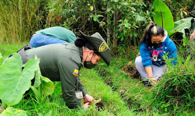 San Pedro de los Milagros protege su naturaleza