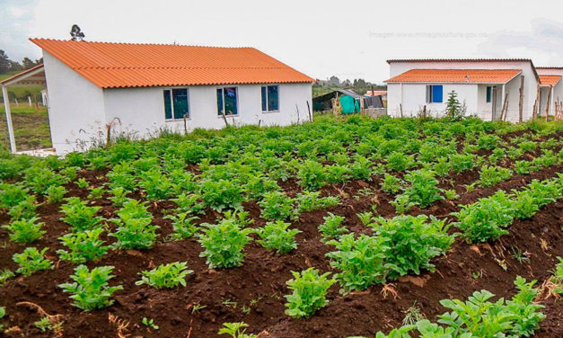 Continúan beneficios para familias de Granada