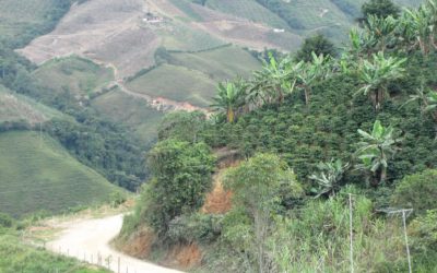 El campo es prioridad en Vegachí