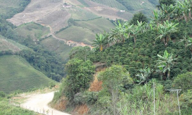 El campo es prioridad en Vegachí