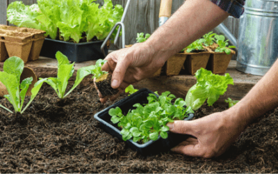 Briceño, tierra fértil y con futuro