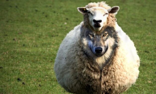 Los contrastes de una ciudad como Medellín