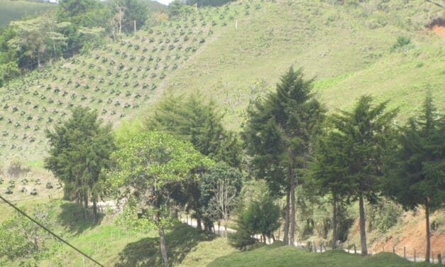 Sello de Sostenibilidad Corantioquia