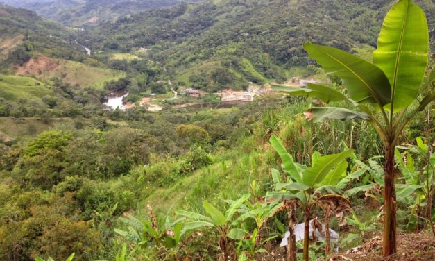 El Peñol le da las gracias a sus campesinos