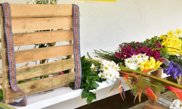 San Cristóbal cultiva flores para silletas