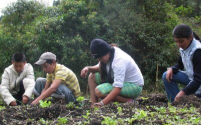 Don Matías es creativo y emprendedor