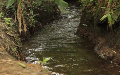 En Entrerríos el agua es un tesoro