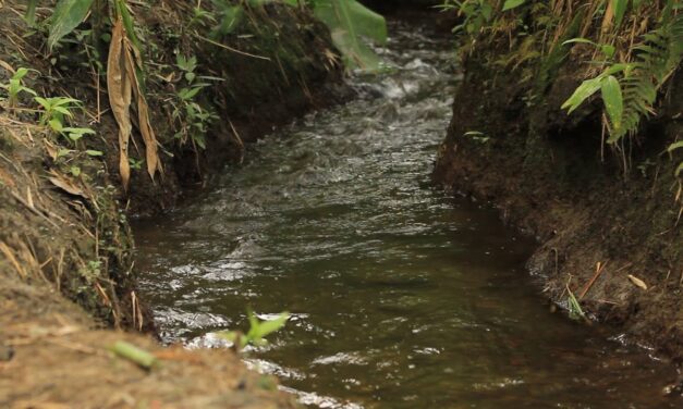 En Entrerríos el agua es un tesoro