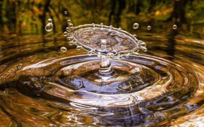 Cuidadores del agua en Santa Rosa de Osos