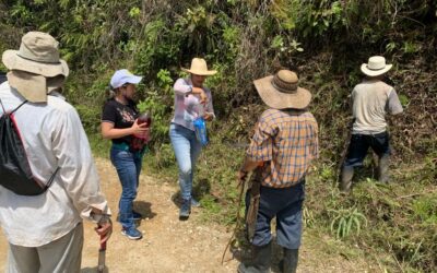 Convite comunitario en Frontino