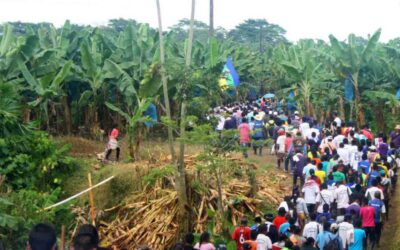 Enfoque diferencial en Frontino