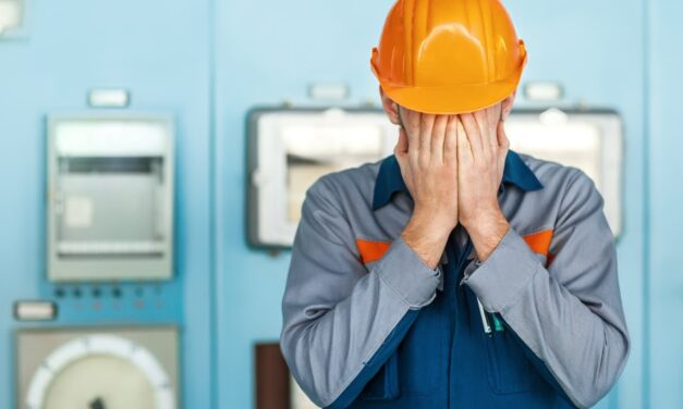 Las líneas productivas en Briseño