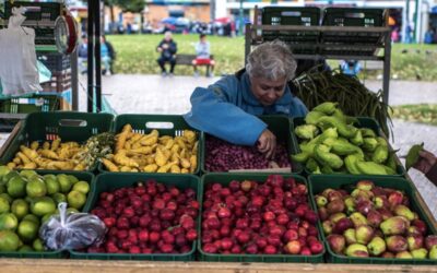 Mercado campesino virtual en Gómez Plata