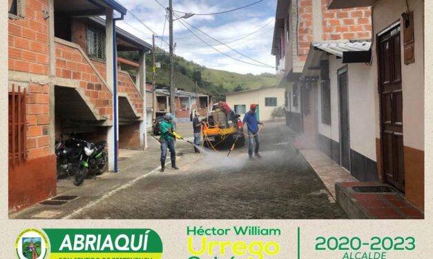 Desinfección en las calles de Abriaquí