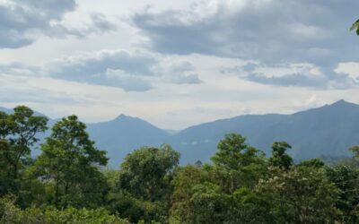 Venecia firmará convenio para protección de reservas forestales