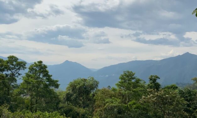 Venecia firmará convenio para protección de reservas forestales