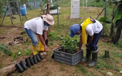 Fortalecimiento de granjas en Valdivia