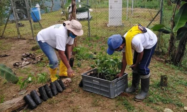 Fortalecimiento de granjas en Valdivia
