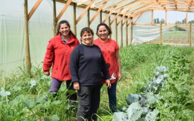 Fortalecimiento de organizaciones sociales en Dabeiba