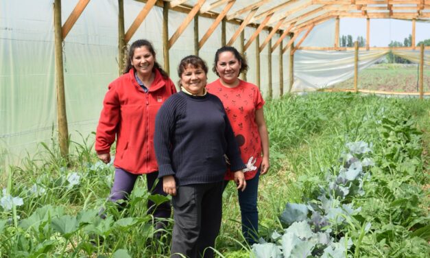 Fortalecimiento de organizaciones sociales en Dabeiba