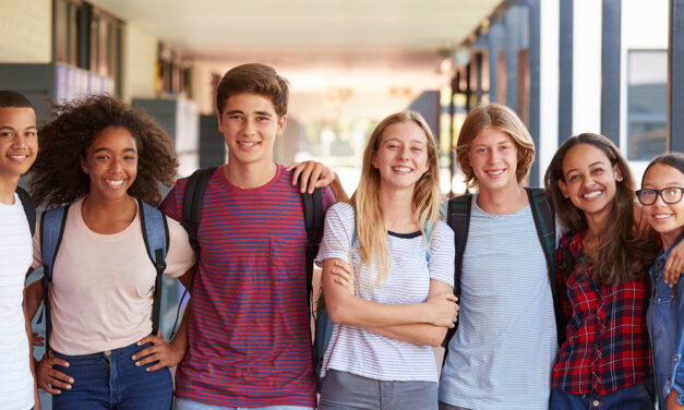 Retos de la institucionalidad para el desarrollo juvenil
