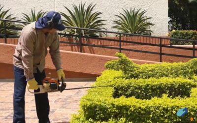 Mejoramiento de jardines urbanos en Rionegro