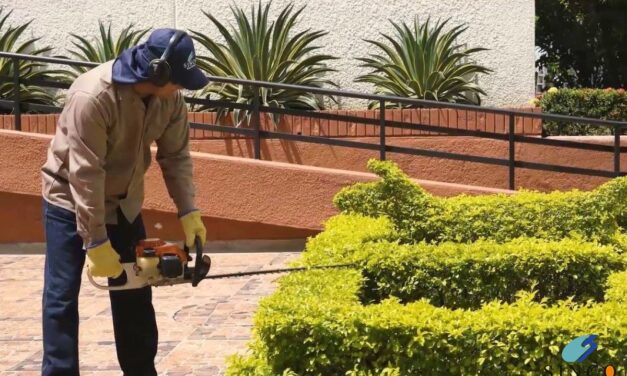 Mejoramiento de jardines urbanos en Rionegro