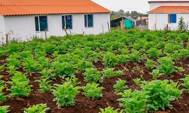 Proyectos de impacto regional en Gómez Plata