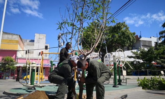 Reforestación urbana en Turbo