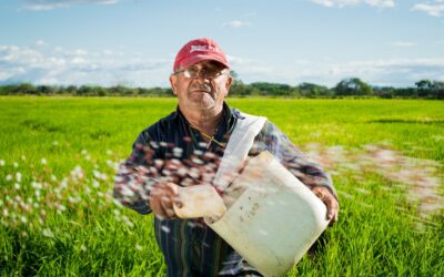 Argelia impulsa a los pequeños agricultores