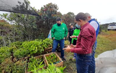 Yarumal busca ayudas para pequeños productores