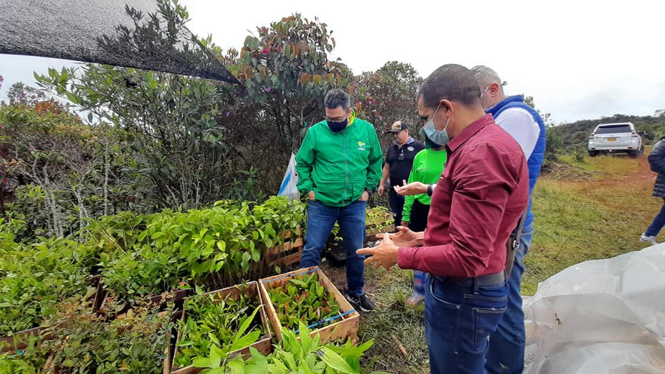 Yarumal busca ayudas para pequeños productores