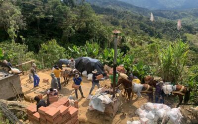 En Alejandría construyen un hogar para doña Joaquina