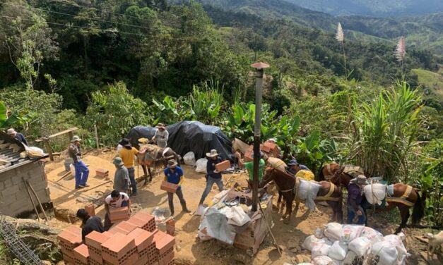 En Alejandría construyen un hogar para doña Joaquina