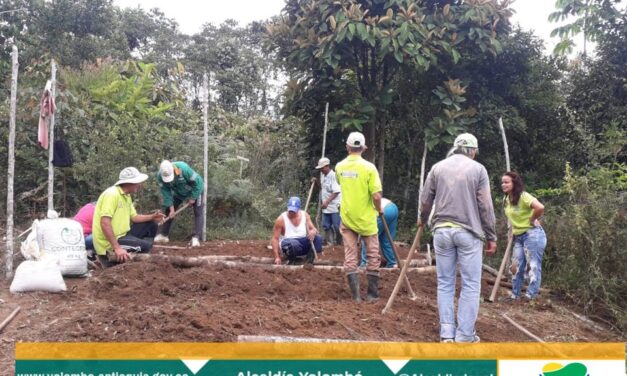 Implementación de huertas campesinas en Yolombó