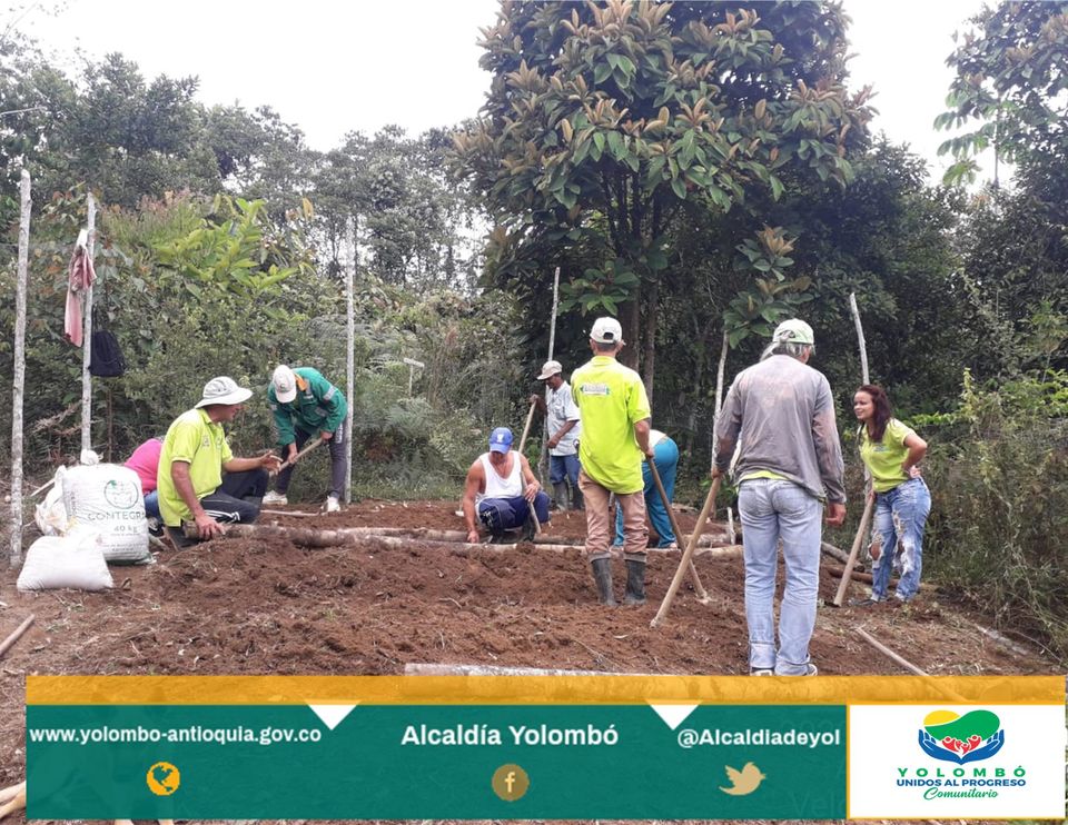 Implementación de huertas campesinas en Yolombó