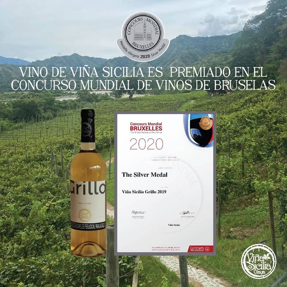 El vino de Viña Sicilia que es fabricado en Olaya es premiado a nivel mundial