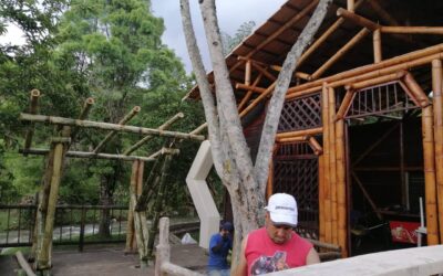 Aula ambiental en Concepción es remodelada para sus estudiantes