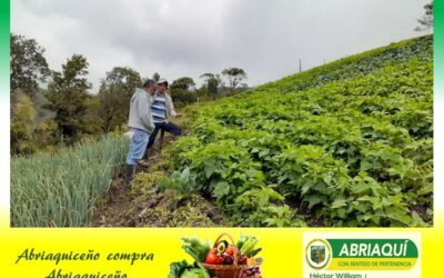 En Abriaquí se realizará el primer mercado campesino