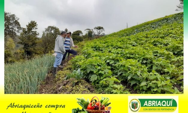 En Abriaquí se realizará el primer mercado campesino