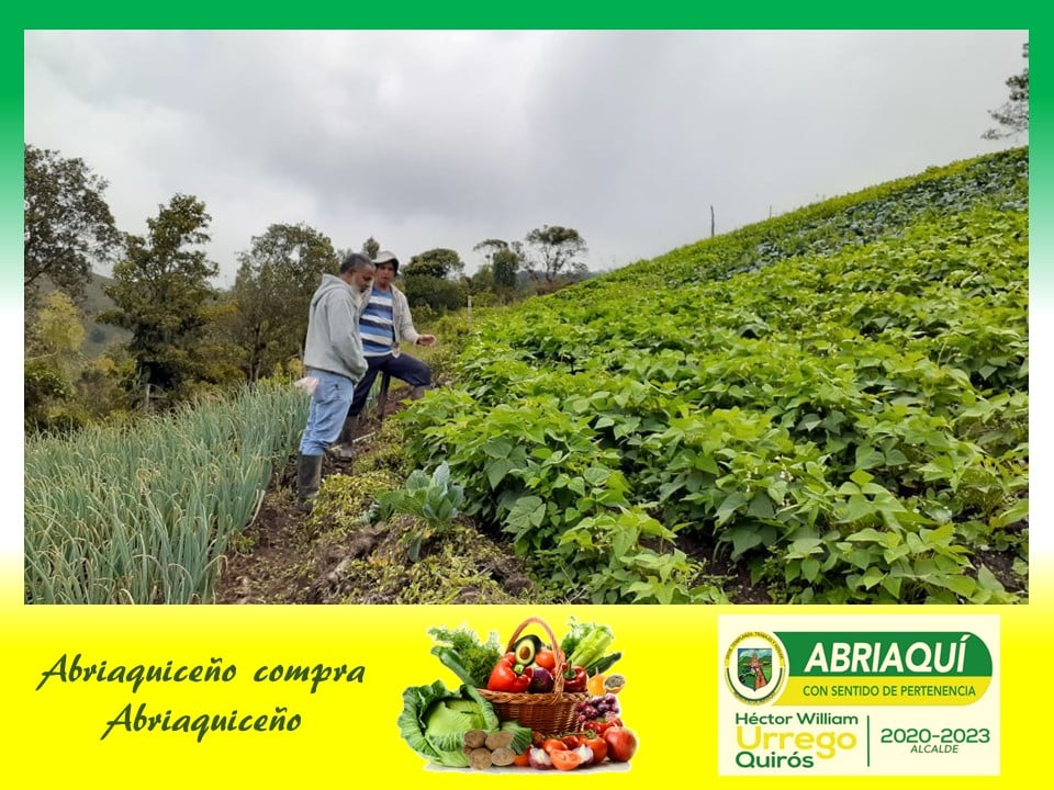 En Abriaquí se realizará el primer mercado campesino En Abriaquí se realizará el primer mercado campesino
